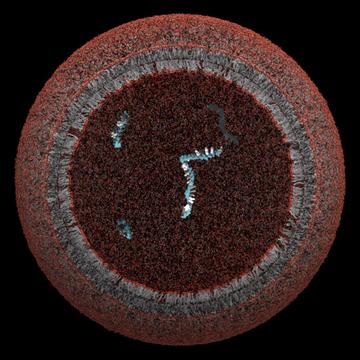 protocell2.jpg