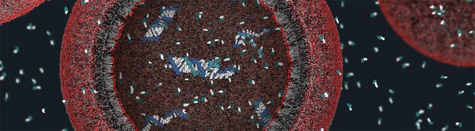 protocells.jpg